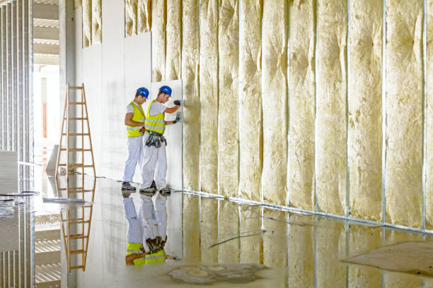 Best Residential Insulation in Nazareth, PA